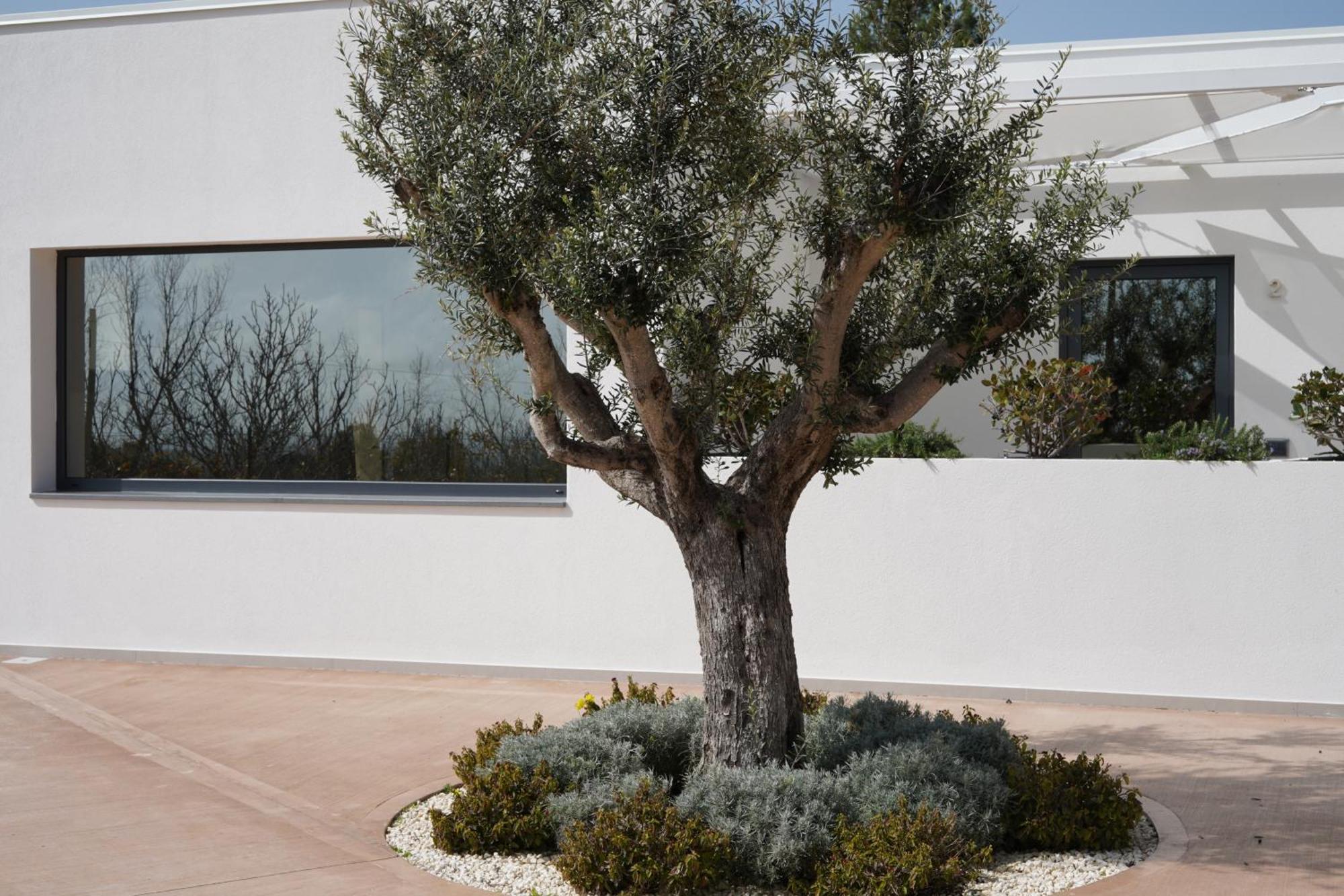 Tenuta San Marco Νότο Εξωτερικό φωτογραφία
