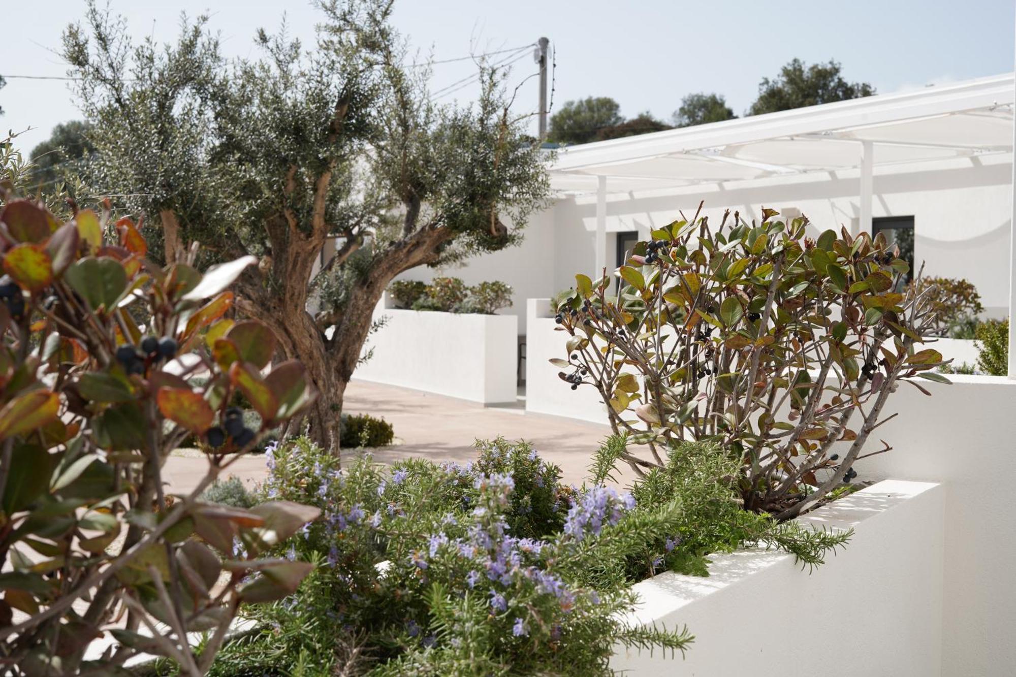 Tenuta San Marco Νότο Εξωτερικό φωτογραφία